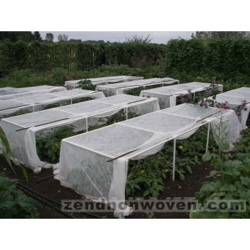 Fruit Tree Covers Bag Non Woven Cloth